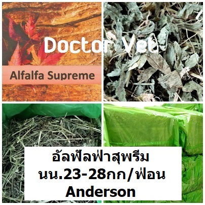 อัลสุพรีม  อัลฟัลฟ่าเกรดพรีเมี่ยม