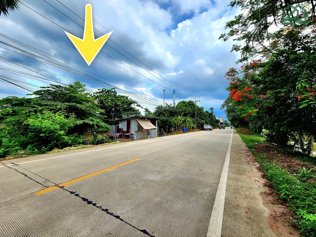 ขายที่ดินติดถนนเรียบคลอง 8 หนองเสือ 60 ไร่ เหมาะทำจัดสรรที่ดิน ทำโครงการบ้าน โกดัง โรงงาน ทำการเกษตร ทำฟาร์ม 