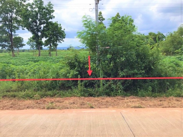 ขายที่ดินว่างเปล่า  อำเภอมัญจาคีรี  ขอนแก่น (PKK01-11705)