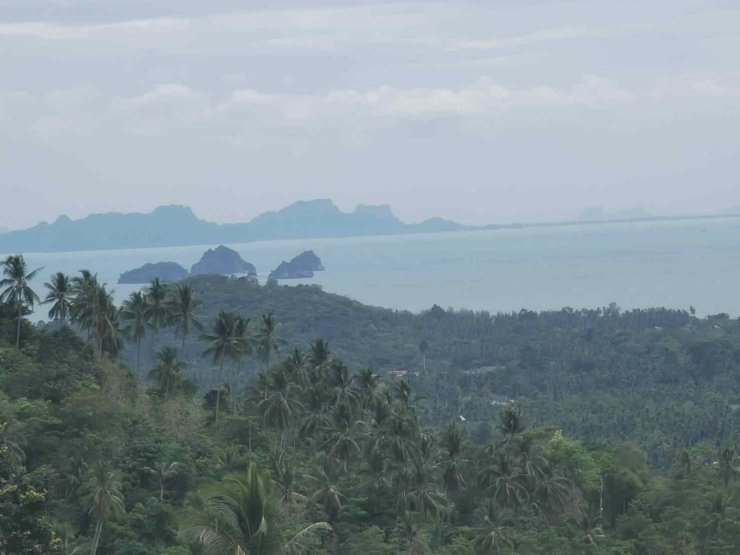 ขายที่ดินบนเขาลิปะน้อย เกาะสมุย วิวทะเล  มีไฟฟ้า 3 เฟสผ่าน ใกล้น้ำตกลาดวานร อ.เกาะสมุย จ.สุราษร์ธานี