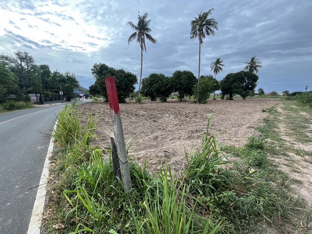 ขายที่ดินสัตหีบ ติดเซนสิริ แยกเจ ต.สัตหีบ อ.สัตหีบ จ.ชลบุรี  14 ไร่ 2 งาน 38 ตรว.