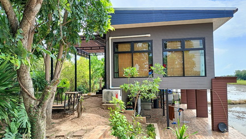 ที่ดิน+ร้านกาแฟ 13-3-19.8 ไร่ ต.ท่าช้าง อ.พรหมพิราม จ.พิษณุโลก