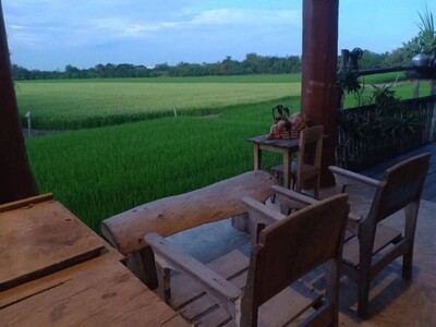 ทำเลเงื่อนไขซื้อขายสิ่งสำคัญ ให้เช่าสถานที่ถ่ายทำหนังละคร  ไทรน้อ