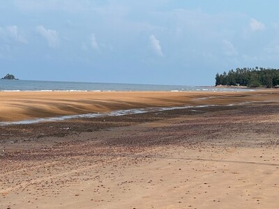 ทำเลเงื่อนไขซื้อขายสิ่งสำคัญ ที่ติดทะเลฝั่งแดงSeaview สวยมากไร่ 3