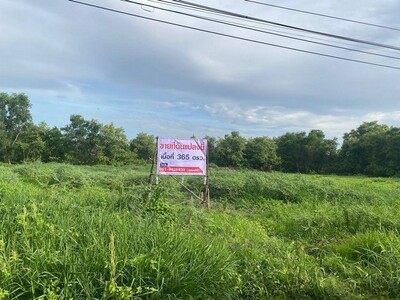 ขายที่ดินเปล่าหมู่บ้านกฤษดานคร 25 ซอยประชาร่วมใจ 31