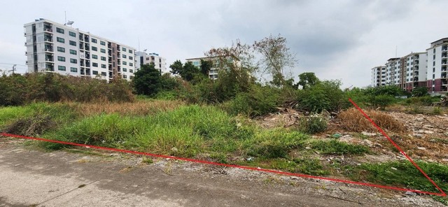 ขายที่ดินแปลงงาม           :                สมุทรปราการ