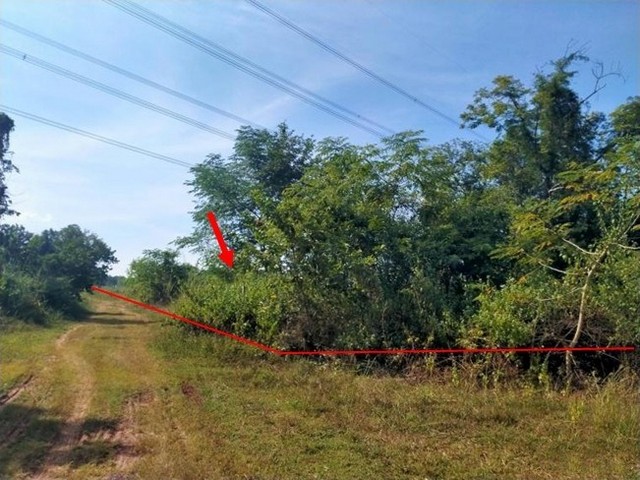 ขายที่ดินว่างเปล่า  อำเภอเมืองอุดรธานี อุดรธานี (PKK01-11452)