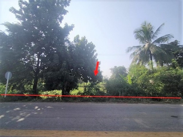 ขายที่ดินว่างเปล่า   อำเภอไชยวาน อุดรธานี (PKK01-10924)