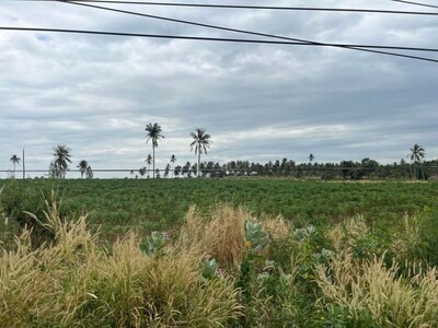 ขายที่ดินเขาไม้แก้ว บางละมุง ชลบุรี 