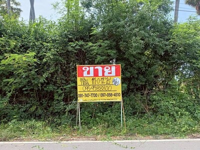 ขายที่ดิน 11-0-12 ไร่  ติดทะเล   ปากน้ำปราณ  ปราณบุรี  
