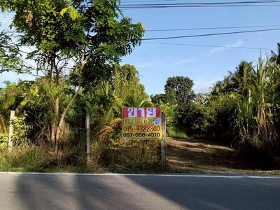 ขายที่ดิน 6 ไร่  พร้อมบ้าน ใกล้ตลาดน้ำอัมพวา  สมุทรสงคราม