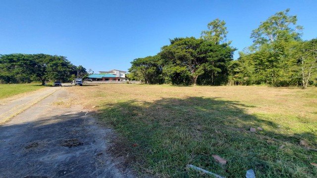พื้นที่ดิน -  area 130 ตร.วา 1500000 B. ใกล้ โรงพยาบาลสันทราย,มหาวิทยาลัยแม่โจ้ ทำเลดีเยี่ยมๆ เชียงใหม่   