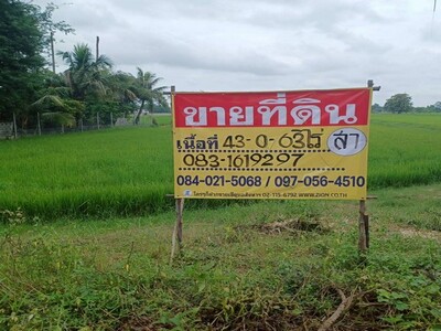 ขายที่นาราคาถูก 43-0-65 ไร่ ใกล้ อบต.บ้านกร่าง  เมืองพิษณุโลก 
