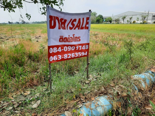 ขายที่ดินหนองจอก ถนนสังฆสันติสุข  มี 1 แปลง 2 โฉนด พื้นที่สีเขียว ต.กระทุ่มราย  อ.หนองจอก กทม. 