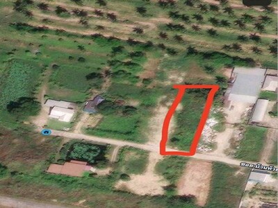 ขายที่ดินศรีราชาชลบุรี ดินเนื้อที่ 1 ไร่ 