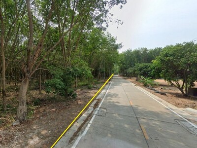 ขายที่ดินเปล่า 26 ไร่ ที่เสมอถนน ย่านมาบตาพุด ระยอง พื้นที่สีส้ม