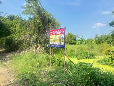 ขายที่ดิน 120 ตารางวา  คูบางหลวง ลาดหลุมแก้ว  ปทุมธานี 
