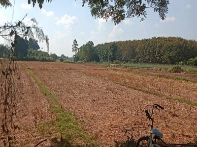 หนาวนี้ดูซื้อทรัพย์เล็งขาย ขายที่ติดน้ำโขง ต.กุดบง โพนพิสัย หนองค