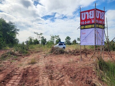 ขายที่ดินติดถนน มัญจาคีรี-แก้งคร้อ อำเภอโคกโพธิ์ไชย จังหวัดขอนแก่