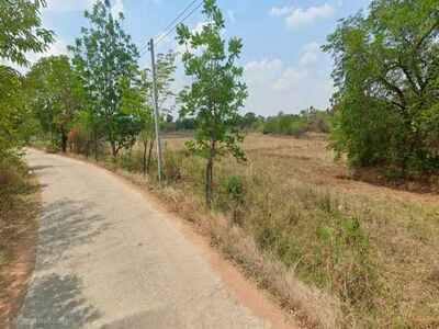 ขายที่ดินเปล่า โนนไทย จ.นครราชสีมา 40 ไร่ 2 งาน 35 ตร.ว. ที่ดินติ