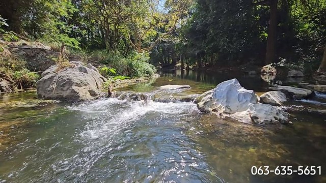 ขายที่สวยติดลำธารน้ำใสๆ ติดถนน 2 ด้าน ย่านโคราช ใกล้น้ำตกเจ็ดสาวน้อย ต.ดงพญาเย็น อ.ปากช่อง จ.นครราชสีมา