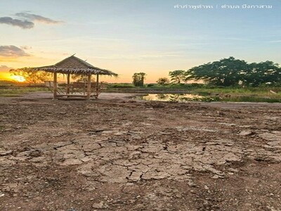 เพียง2.5แสน฿100ตรว.ที่ดินทำสวนเกษตรใกล้กรุงฯ คลอง11 หนองเสือ ปทุม