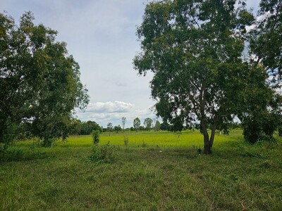 ขายที่ดินมหาสารคาม ติดทางสาธารณะ   มหาสารคาม