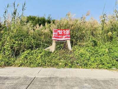  ขายที่ดินเปล่า เพชรเกษม77 ซอยสวัสดิการ 2 แยก 17 เขตหนองแขม กรุงเ