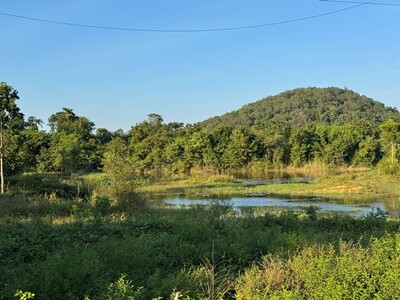 ที่ดิน ติดภูเขา โพธาราม จังหวัด ราชบุรี