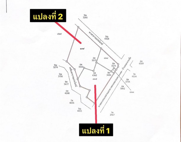 ขายที่ดิน สวนทุเรียน,สวนมังคุด,สวนยางพารา  ต.ชำฆ้อ อ.เขาชะเมา จ.ระยอง