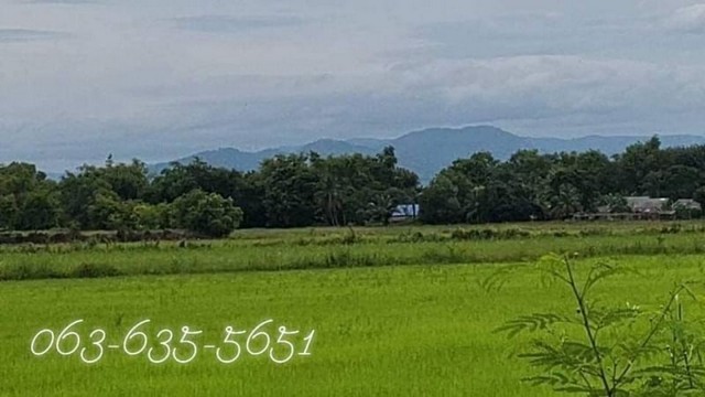 ขายที่สวย ติดถนนเลียบคลองเส้นขนาน ถนนรังสิต-นครนายก เส้น 305 ต.บางอ้อ อ.บ้านนา จ.นครนายก โฉนดครุฑแดง