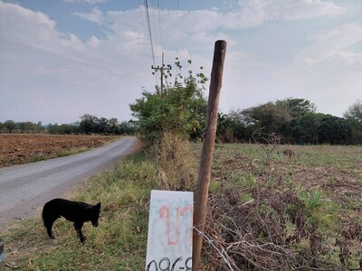 อสังหาไทยทรัพย์ในดิน ขายที่ปากช่อง 2-8ไร่ โฉนด ต.วังไทร ไร่ละ 2.9