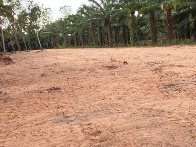 อสังหาเมืองไทยทรัพย์ในดิน   ที่ดินติดถนนหลวงใกล้หาดบางเบิด ไร่ 8แ