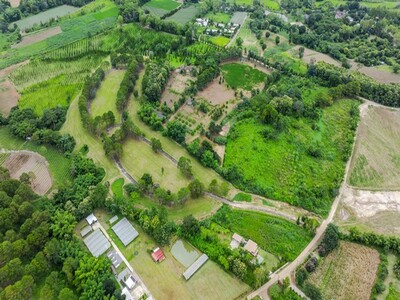 ขายที่ดิน ที่ดินแปลงใหญ่ เขาค้อ เฟส 5 Paradise