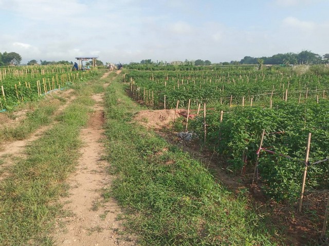 รวยทรัพย์ซื้อเก็บบ้านที่ดินเพื่ออนาคตร่ำรวย   อ.ท่าวังผา  จ.น่าน  น้ำใสไหลรินตลอดปี  ตำบลศรีภูมิ อ.ท่าวังผา จ.น่าน 800000 บาท สวยมากวิวน้ำน่านฟ้าใสอากาศดี