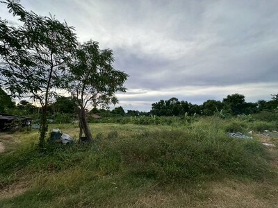 ขายที่ดินโรงโป๊ะ บางละมุง แปลงสวย ทำเลดี แหล่งชุมชน