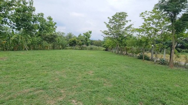 ขายที่ดินเหมืองแก้วแม่ริมเชียงใหม่ขายถูกเจ้าของขายเอง