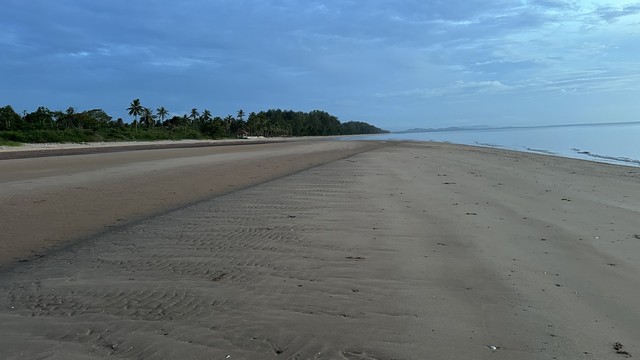 โปรจุกจุกรับกลางปีงูใหญ่ 2567  ขนาดที่ดิน 4 ไร่ ขายราคาไร่ล่ะ 3.5 ล้านบาท ค่าใช้จ่ายในการโอน 50/50