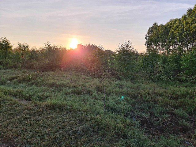 โปรจุกจุกรับกลางปีงูใหญ่ 2567   ขายอสังหาริมทรัพย์ ขายที่ติดแม่น้ำโขง ต.กุดบง อ.โพนพิสัย จ.หนองคาย หน้าติดถนนโยธาธิการ  หลังติดแม่น้ำโขง ไร่ละ 2ล้านบาท โทร 096-882-1857