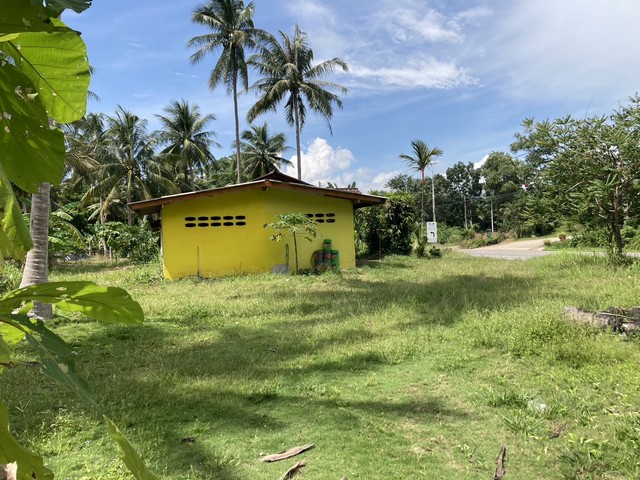 โปรจุกจุกรับกลางปีงูใหญ่ 2567  ขายที่ใกล้ทะเล ต.สะพลี อ.ปะทิว จ.ชุมพร ราคาคุยได้ สนใจโทรตรง 096-882-1857