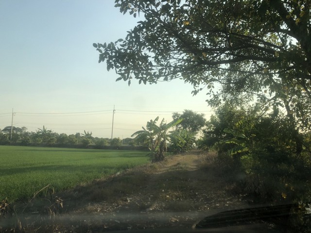 โปรจุกจุกรับกลางปีงูใหญ่ 2567   ที่ดิน ลาดหลุมแก้ว  คมนาคมสะดวกสบาย เหมะปลูกบ้านทำการเกษตรดินดีวิวสวย บ่อเงินปุทม ใกล้แหล่งน้ำเหมาะทำเกษตร  ใกล้ชุมชน 5ไร่  อำเภอลาดหลุมแก้ว ปทุมธานี ลาดหลุมแก้วไร่ละ 1ลบ. โทร 083-7124115