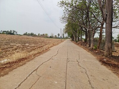 อสังหาเลือกดูจับจองได้  ขาย/เช่า ที่ติดภูเขา อ.เมือง จ.นครสวรรค์ 