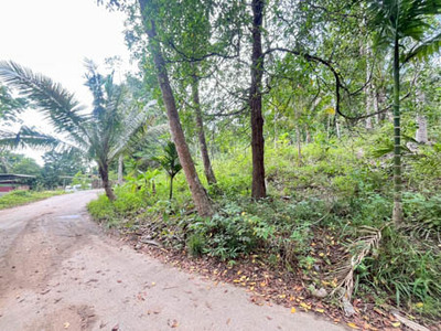 Investment Opportunity 5392 sqm Land Near Lipa Noi Beach Koh Samu