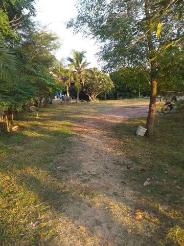 ที่ดินสวย  บรรยายกาศดี  หลังกาดฝรั่ง  วาละ10,000 บาท