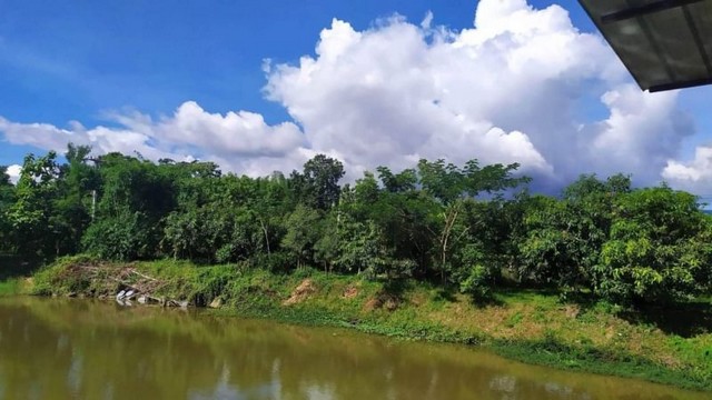 ลดราคา​ขา​ยด่วน ​แม่​ริม​ สะลวง​ ใกล้ม.ราชภัฎ​  ​9.5​ ล. เท่านั้น​ 