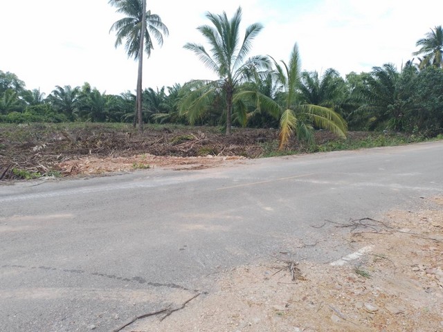 ขายที่ดิน 2 ไร่ครึ่ง ไร่ละ 1.4 ล้าน อำเภอเมือง จังหวัดสุราษฎร์ธานี**ใกล้ศาลหลักเมือง 7 นาที 