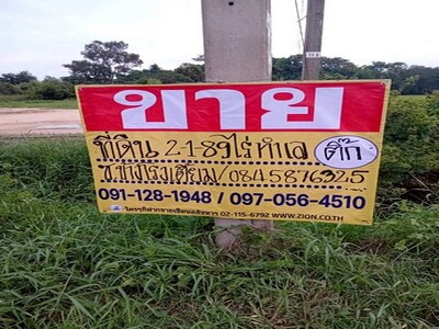 ขายที่ดิน 2-1-89 ต.ในเมือง อ.เมือง จ.เมือง จ.ยโสธร  