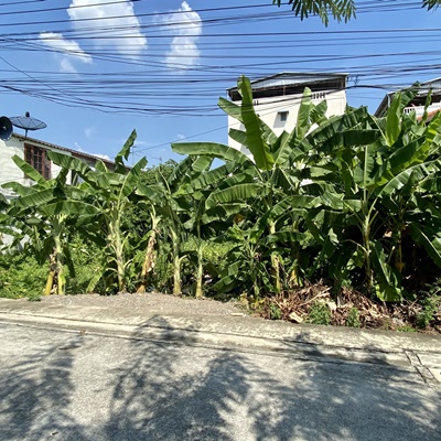 ขายที่ดินสวย 140 ตารางวา สี่เหลื่ยมผืนผ้า ถนนสรงประภา ซอยสรณคมน์ 20 แยก 8  สีกัน ดอนเมือง กรุงเทพ