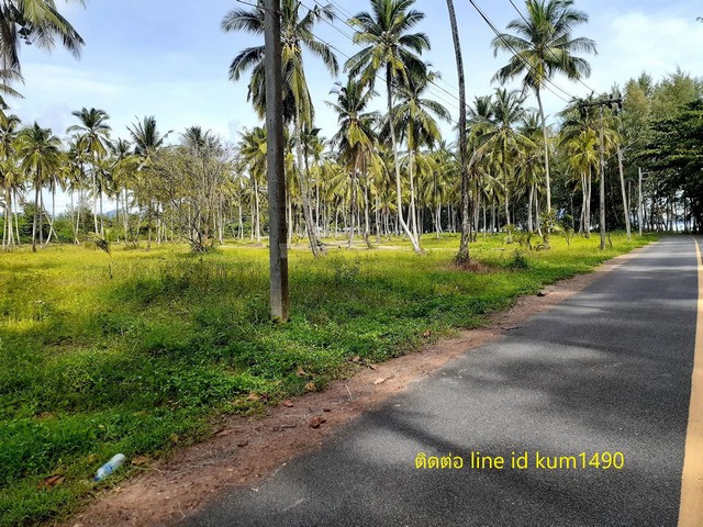 ขายที่ดินริมหาด แหล่งท่องเที่ยวหลัก เจ้าของขายเอง จังหวัดพังงา