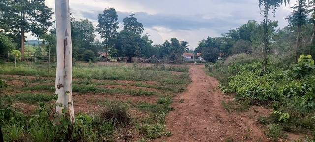 ขายที่ดินแหล่งธรรมชาติ ติดวันดีดีรีสอร์ท เจ้าของขายเอง จังหวัดเลย 